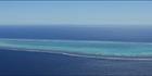 Wistari Reef - QLD (PBH4 00 18457)